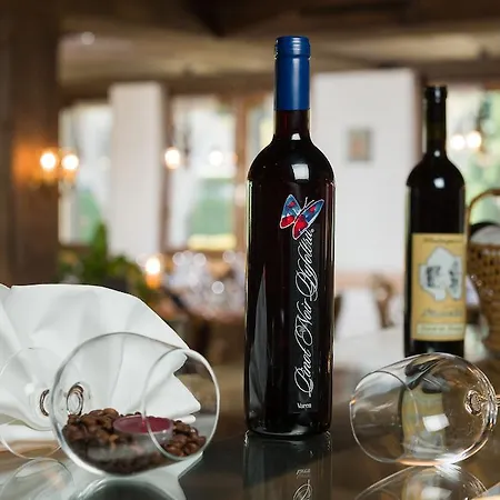 Hotel Landhaus La Collina Grachen