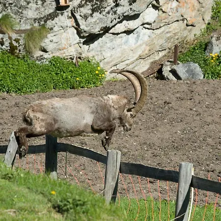 Landhaus La Collina غراشن